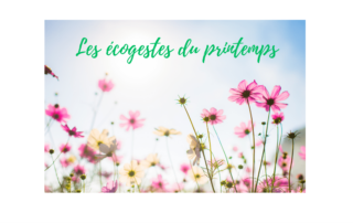 ecogestes printemps